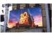 SMD2727 P5 Electronic Billboard Advertising 160 * 160mm For Performances / Gatherings
