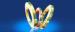 High Electrical Conductivity Copper Alloy Strip With Specific Shape Cladding Metal