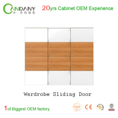 Single door wardrobe for customer's design HOU SALE PRODUCTS Wardrobe Sliding Door