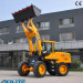 Low Price China Small Loader Mini Pay Loader for Sale