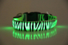 LED Zebra-Stripe Dog Collar