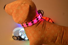 LED Nylon Dog Collar