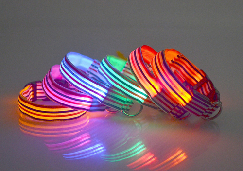 LED Nylon Dog Collar