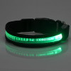 LED Carved Lettering Dog Collar