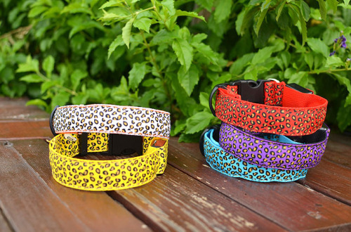 LED Leopard Print Dog Collar