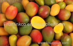 fresh egyptian mangos by fruit link