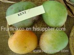 fresh egyptian mangos by fruit link