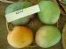 fresh egyptian mangos by fruit link