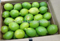 fresh egyptian mangos by fruit link