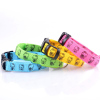 LED Nylon Dog Collar