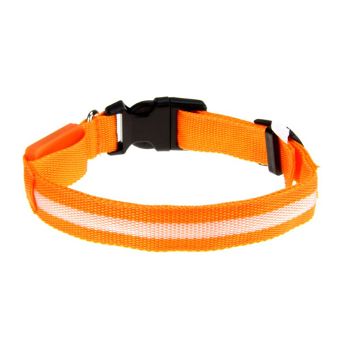 LED Nylon Dog Collar