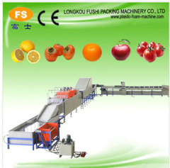 High Speed Fruit Cleaning Machinery Fruit Washing Grading Waxing Machine