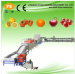FS-QXDL Fruit Washing Waxing Drying and Grading Machine