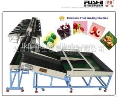 Automatic Electronic Fruit Grading Machine