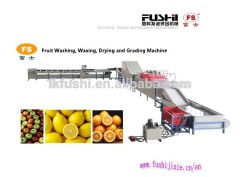 Fruit Washing Waxing Drying Grading Machine/Lemon Sorting Machine/Round Vegetable Sizing