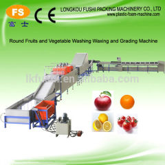 apple cleaning waxing drying sorting machine