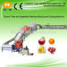 FS-QXDL Fruit Washing Waxing Drying and Grading Machine