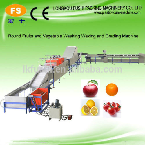 FS-QXDL Fruit Washing Waxing Drying and Grading Machine