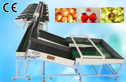 Double Line Automatic Electronic Fruit Grading Machine