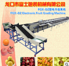 Fruit Washing Waxing Drying Grading Machine/Lemon Sorting Machine/Round Vegetable Sizing