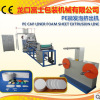 PE Cap Liner Foam Sheet Extrusion Line