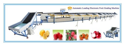 Hydraulic Automatic Loading Electronic Fruit Grading Machine