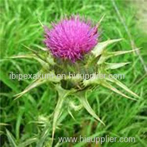 Milk Thistle Extract Product Product Product