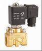 Mini Water Solenoid Valve NC Normally Closed Solenoid Valve 1/4 1/2