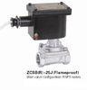 Stainless Steel Flameproof Explosion Proof Solenoid Valve With Steam Medium