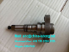 good quality T Plunger Element 2 418 455 597 2455-597 from China diesel factory