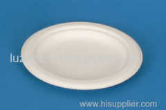 100% bio-degradeble sugarcane pulp bamboo pulp plate and dishes