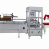 Automatic Carton Packaging Line