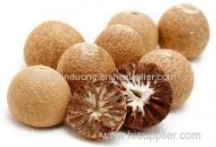 high quality betel nut from Vietnam