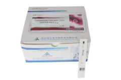 NGAL Rapid Test poct Kits by fluorensense immunoassay analyzer