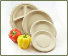 single use disposable plates bamboo FDA approved paper tableware 3 compartment