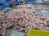 GRADE A PROCESSED FROZEN CHICKEN FEET