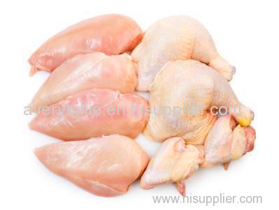 CHICKEN / FILLET / WHOLE CHICKEN / EGGS / FEET / PAWS