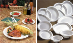 Oval plate Single-use eco-friendly Biodegradable sugarcane Food Tableware