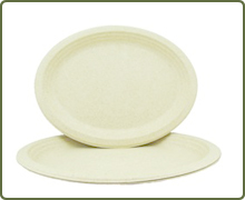 Oval plate Single-use eco-friendly Biodegradable sugarcane Food Tableware