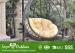 Long Oval Outdoor Hanging Swing Chair With Cushion Rattan Garden Furniture
