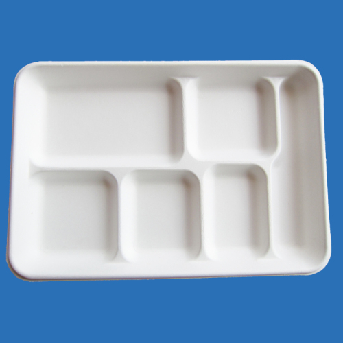 Bagasse Plate/Biodegradable Tableware/Sugarcane pulp bagasse food plate