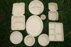 Bagasse Plate/Biodegradable Tableware/Sugarcane pulp bagasse food plate