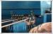 AC Servo Motor Driven Copper Rod Casting Machine Continuous 50HZ