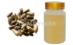 Milk Thistle Extract Extract Cardui Mariae Silymarin Silybin isosilybin