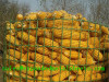 Expanded Metal Corn Cage