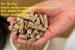 Wood Pellets Stick 6mm For Power Plant/Heating System High Quality