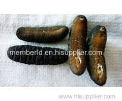 Vietnam Dried Sea Cucumber/Dried White Teat Fish/Dried Black Prickly Fish/ Sand Fish