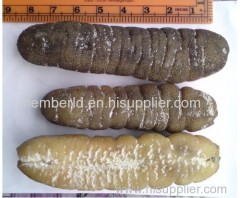 Vietnam Dried Sea Cucumber/Dried White Teat Fish/Dried Black Prickly Fish/ Sand Fish