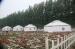 Durable Outdoor Mongolian Yurt Tent With PVC Flame Resistant Material B1 Grade