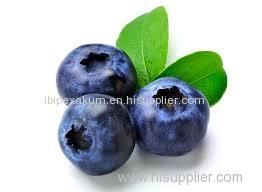 Blueberry Extract Product Product Product